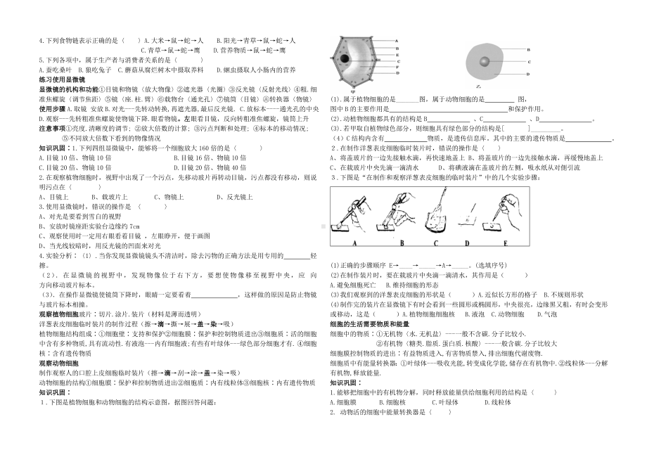 七年级生物上册-复习提纲试题-人教新课标版.doc_第2页