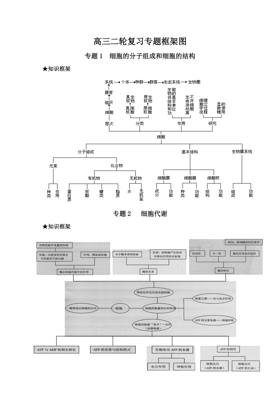 (完整版)高三生物二轮复习专题框架图.doc_第1页