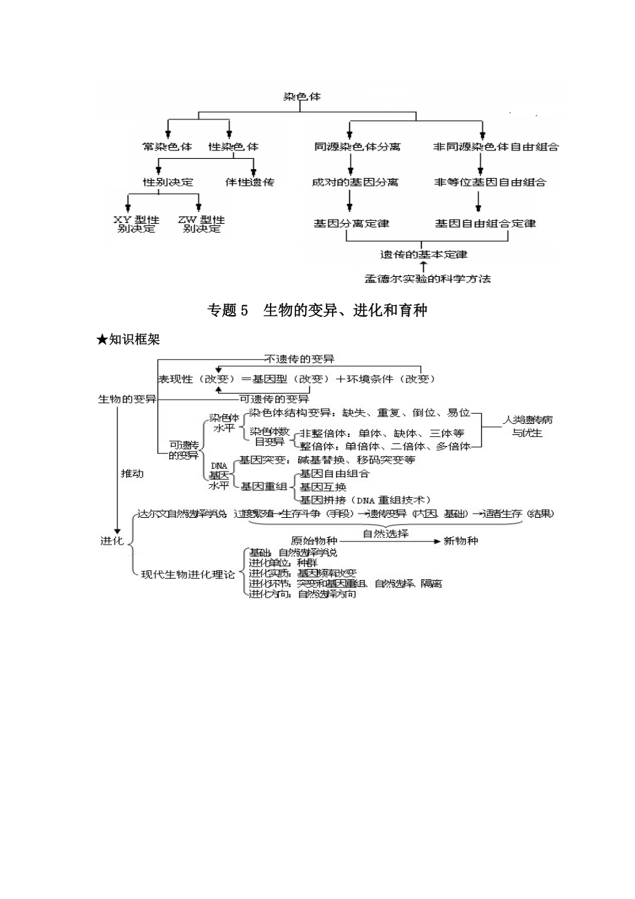 (完整版)高三生物二轮复习专题框架图.doc_第3页