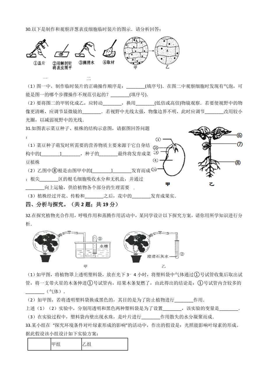 七年级生物上册期末考试题(含答案).docx_第3页