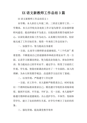 XX语文新教师工作总结3篇.docx