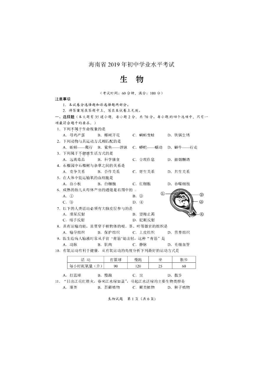 2019年海南省初中学业水平考试生物试题及答案.docx_第1页