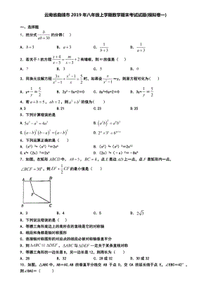 云南省曲靖市2019年八年级上学期数学期末考试试题(模拟卷一).doc