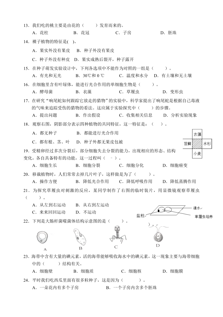 云南省新人教版七年级生物上期末考试卷模拟题.doc_第2页