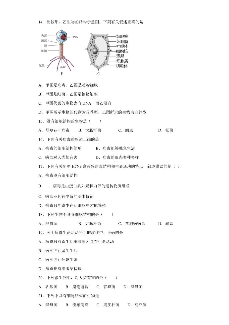 人教版生物八年级上册第五单元第五章《病毒》测试题(含答案).docx_第3页