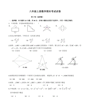 人教版八年级上册数学期末考试试题含答案.doc