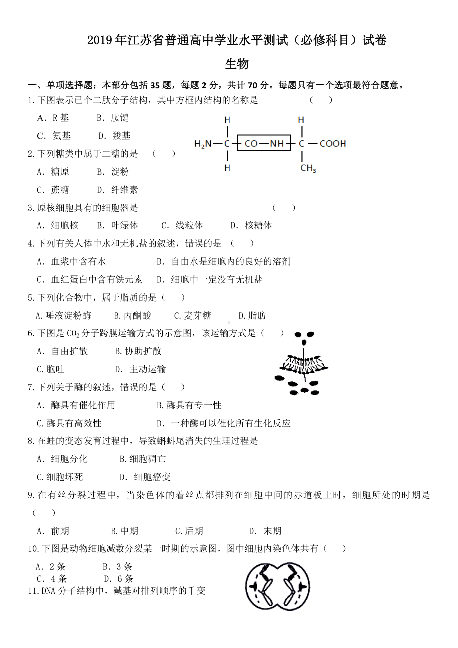 2019年江苏小高考-生物试题(含答案).doc_第1页