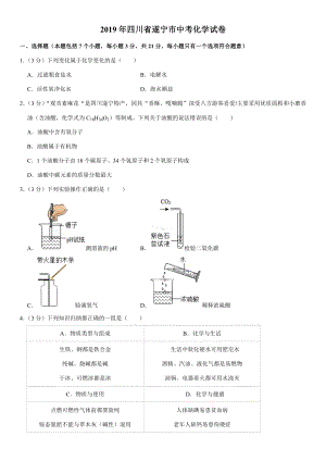 2019年四川省遂宁市中考化学试卷.doc