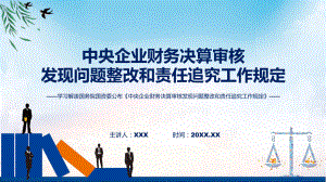 学习解读2023年央企财务决算审核发现问题整改和责任追究工作规定PPT教学.pptx