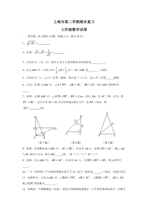 上海七年级第二学期期末复习数学试卷.docx