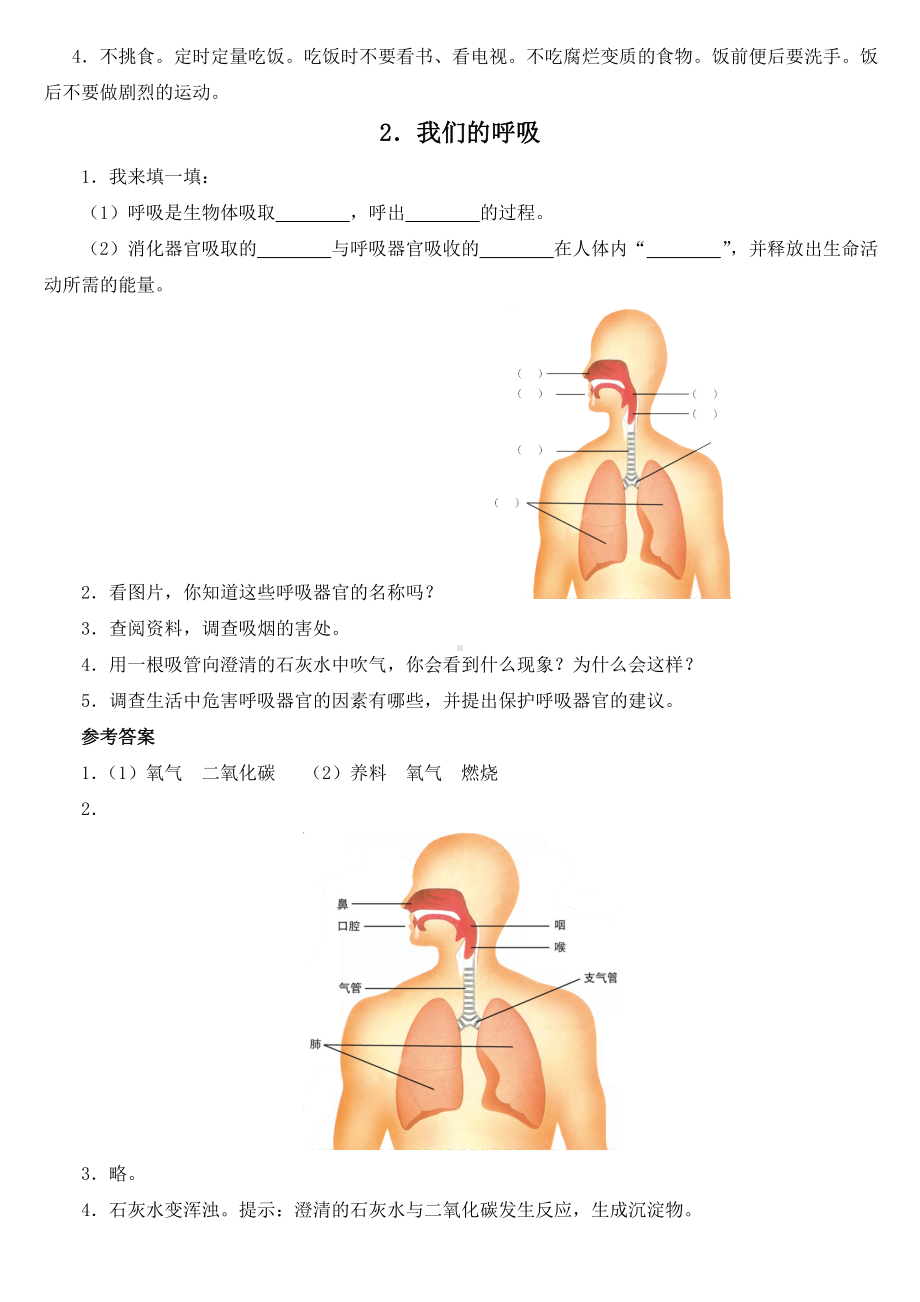 (完整版)青岛版五年级科学下册各课知识点.doc_第2页