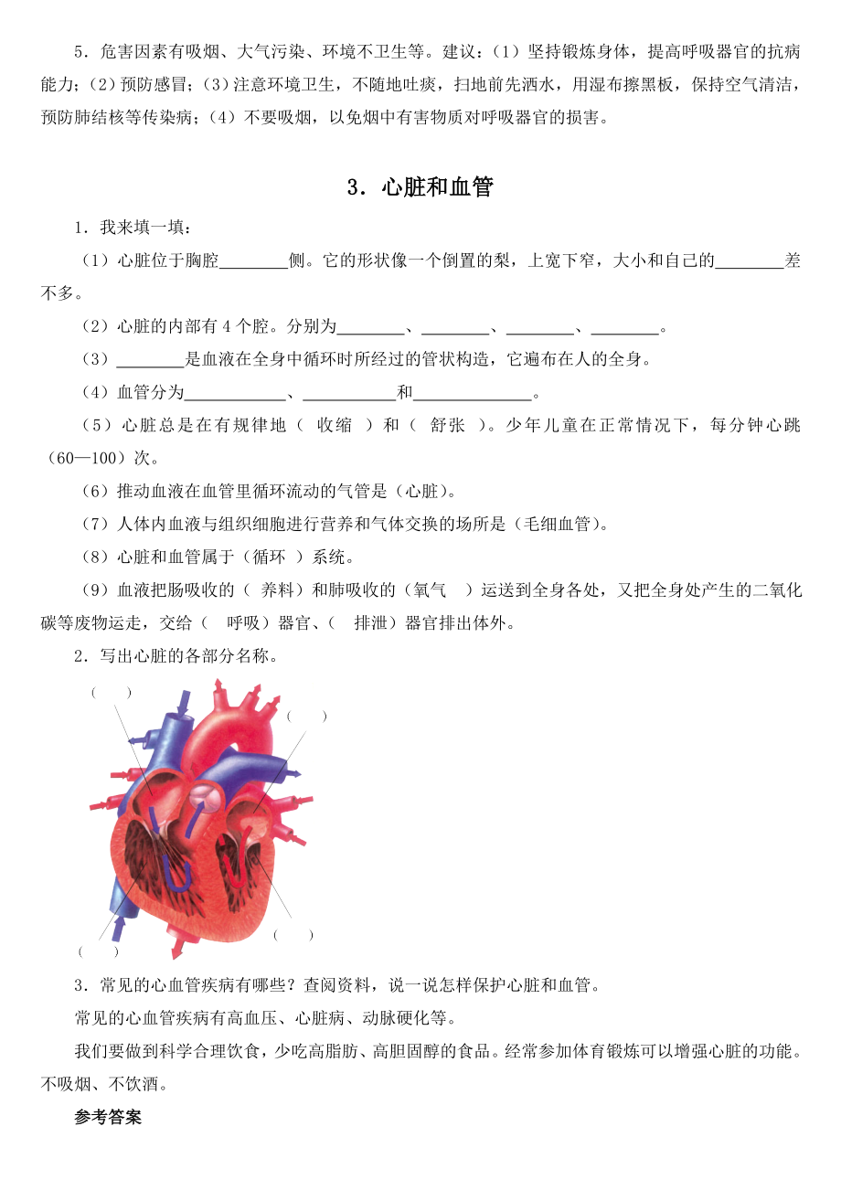 (完整版)青岛版五年级科学下册各课知识点.doc_第3页