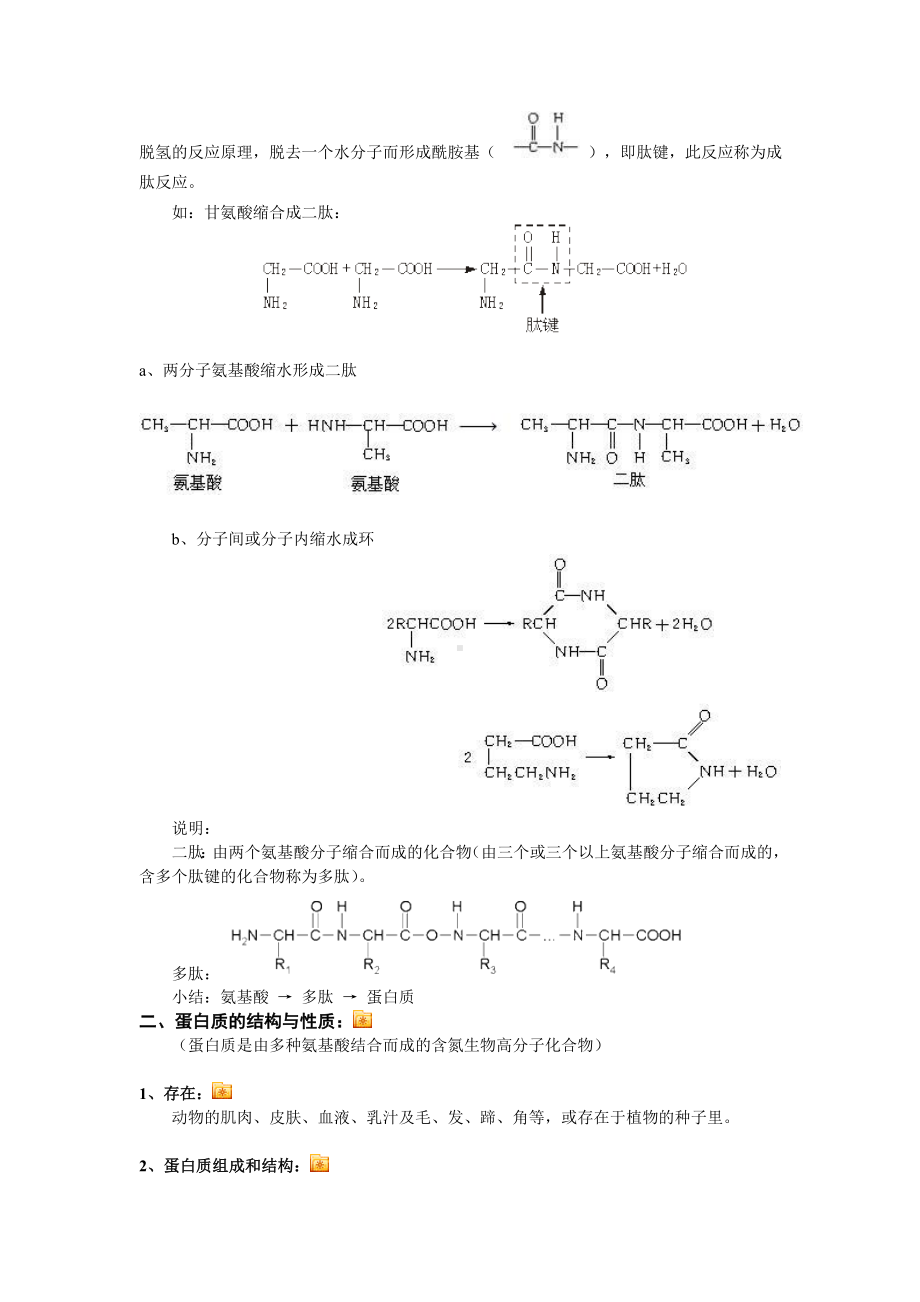 (完整版)蛋白质和核酸教案.doc_第3页