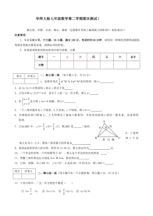 七年级下册数学期末试题(华师大).doc