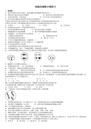 人教版高中生物必修二减数分裂经典习题.doc