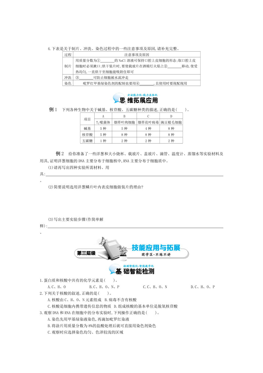 《遗传信息的携带者-核酸》导学案.doc_第3页