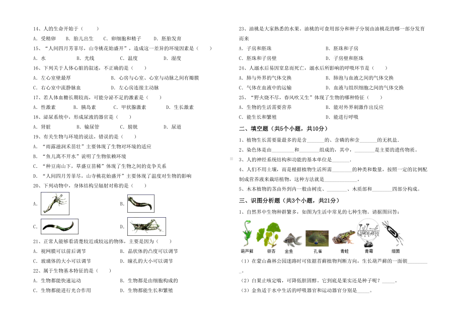 2021年七年级生物下册期末试卷(全面).doc_第2页