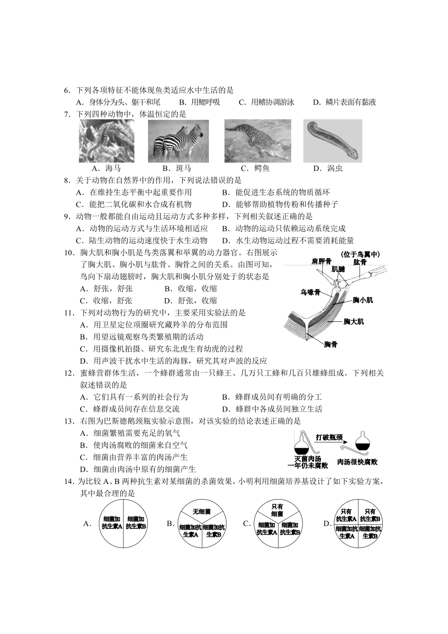 2019—2020北京西城区八年级生物上学期期末调研试卷及答案.docx_第2页