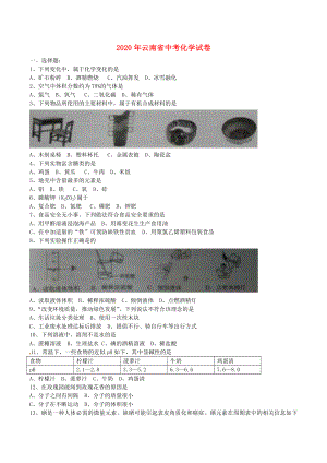 云南省2020年中考化学真题试题(含答案).doc