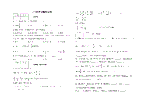 人教版数学小升初考试试题及答案.docx