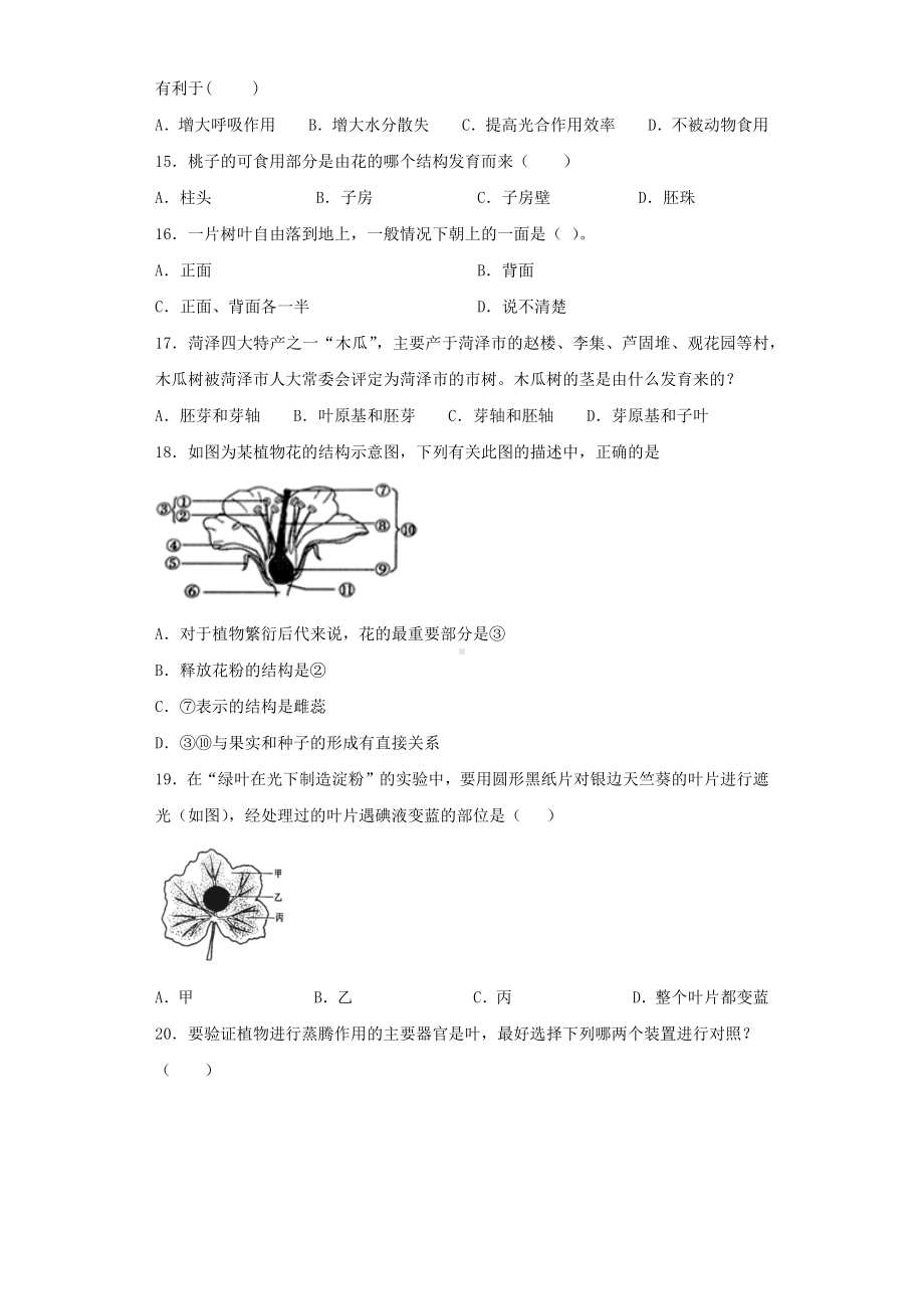 2020届中考生物《生物圈中的绿色植物》专项测试题(含答案).docx_第3页