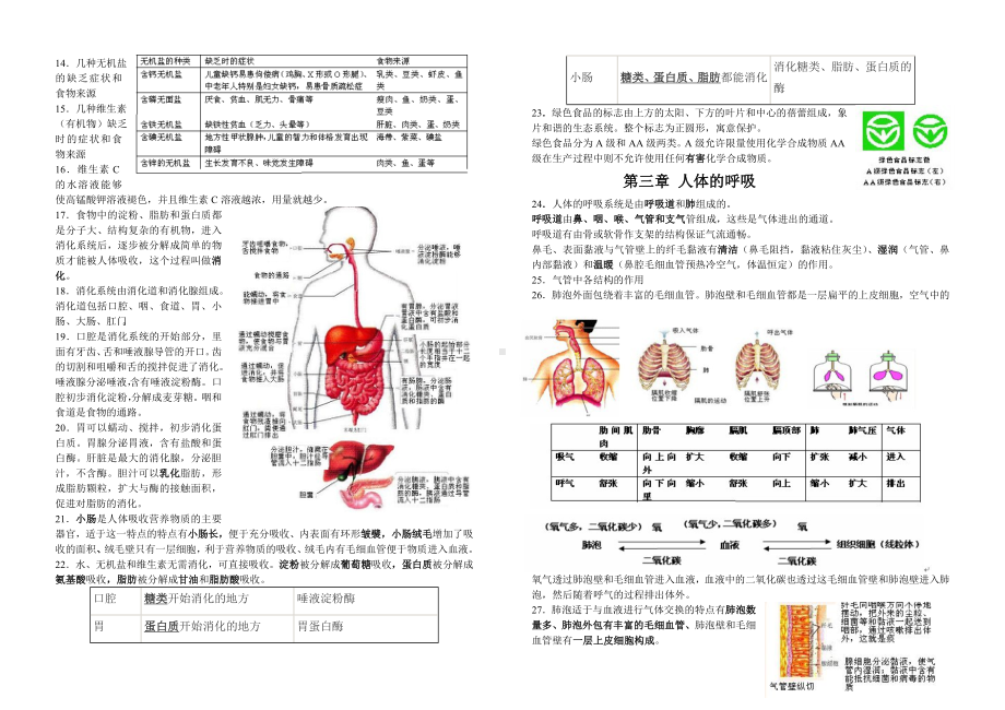 七年级下册生物圈中的人知识点梳理(15章).doc_第2页