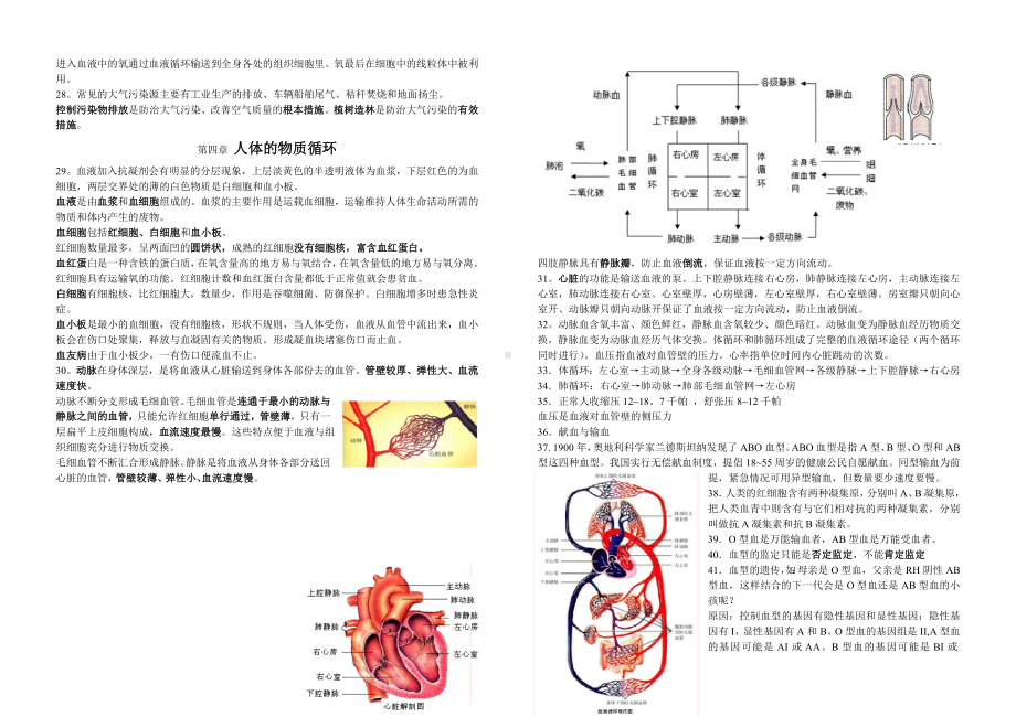 七年级下册生物圈中的人知识点梳理(15章).doc_第3页