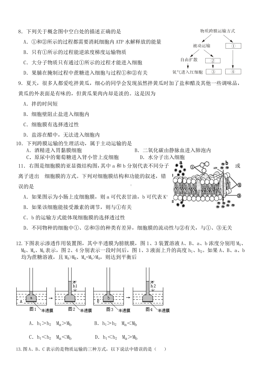 (完整版)生物必修一第四章练习题.doc_第2页