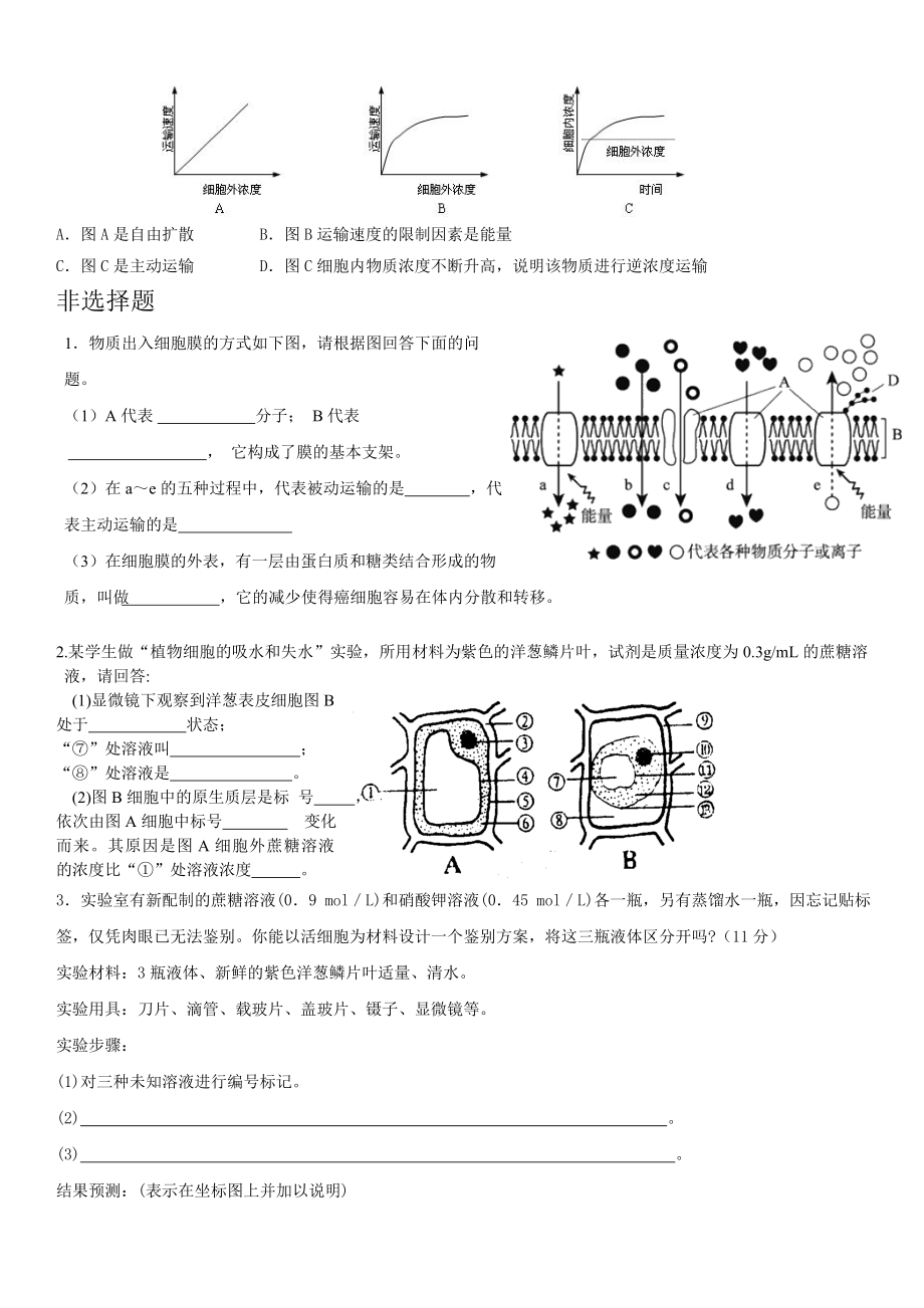 (完整版)生物必修一第四章练习题.doc_第3页