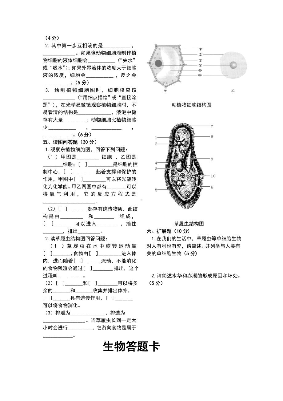 七年级生物上册第二章生物体的结构层次测试题.doc_第3页