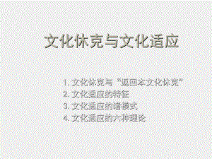 《跨文化传播学导论》课件第十四讲 文化休克与文化适应.ppt