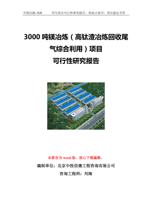 3000吨镁冶炼（高钛渣冶炼回收尾气综合利用）项目可行性研究报告写作模板立项备案文件.doc