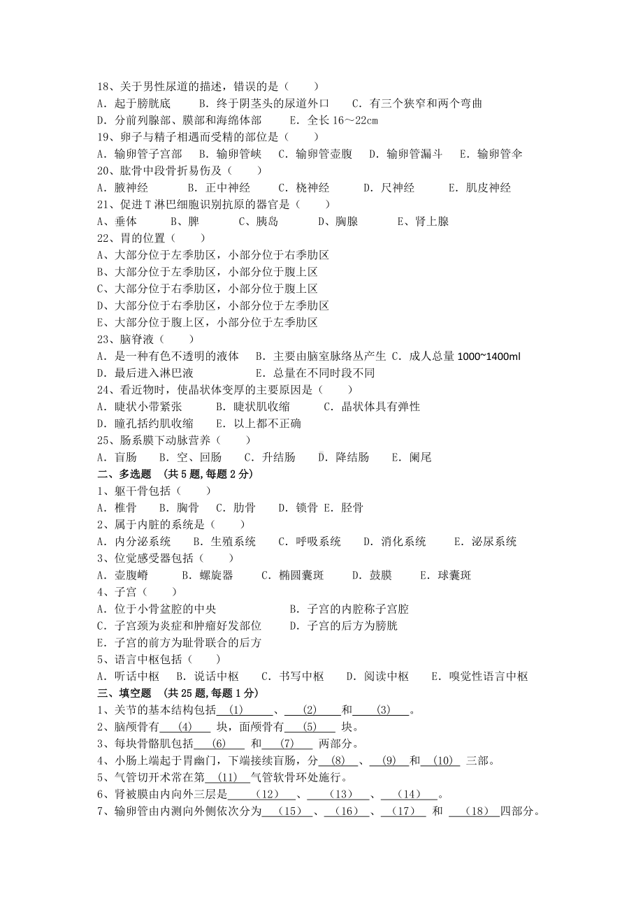 人体解剖学试卷及答案.doc_第2页