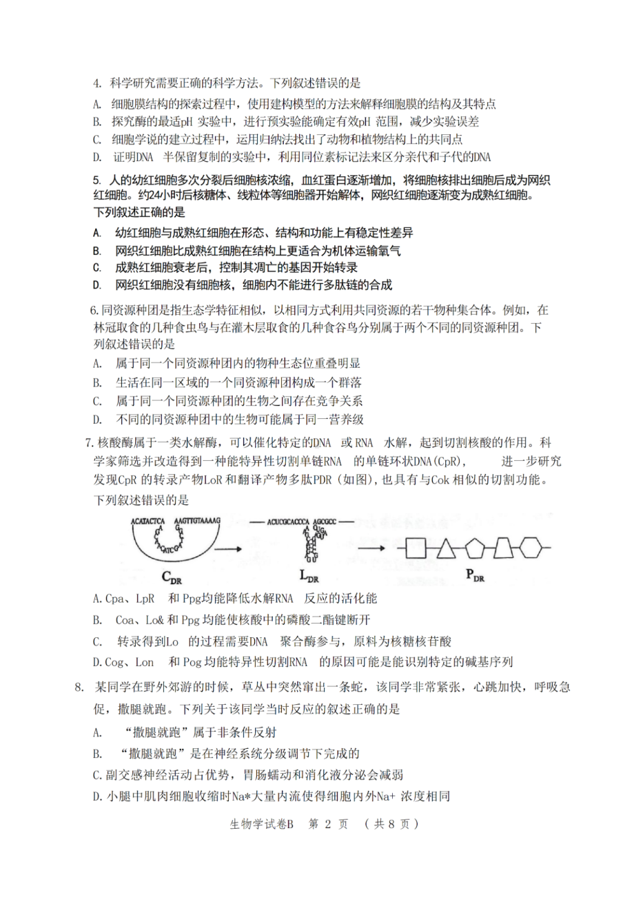 广东省广州市2023届高三毕业班综合测试（二）生物二模试卷+答案.pdf_第2页