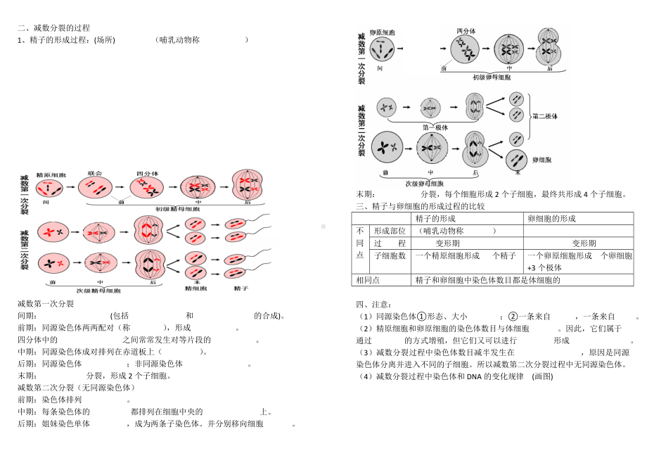 人教版生物必修2基础知识点填空(重点突出).doc_第2页