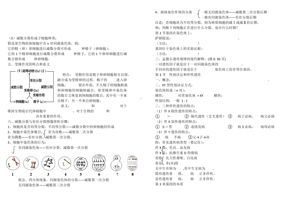 人教版生物必修2基础知识点填空(重点突出).doc_第3页