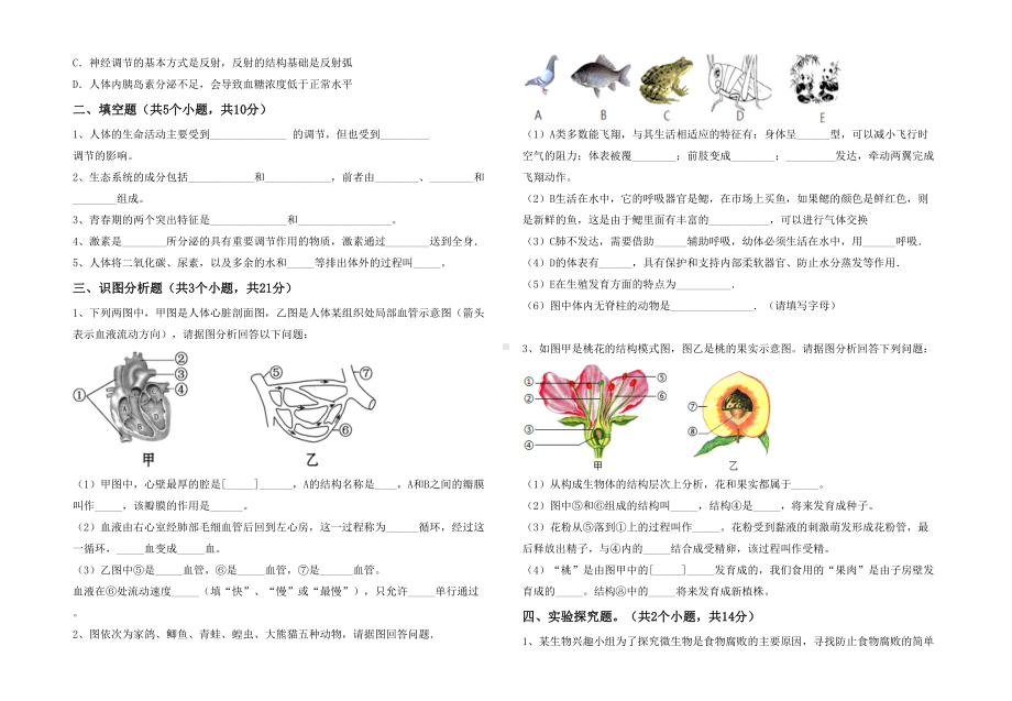 2021新人教版七年级下册《生物》期末考试卷及答案（可打印）.doc_第3页