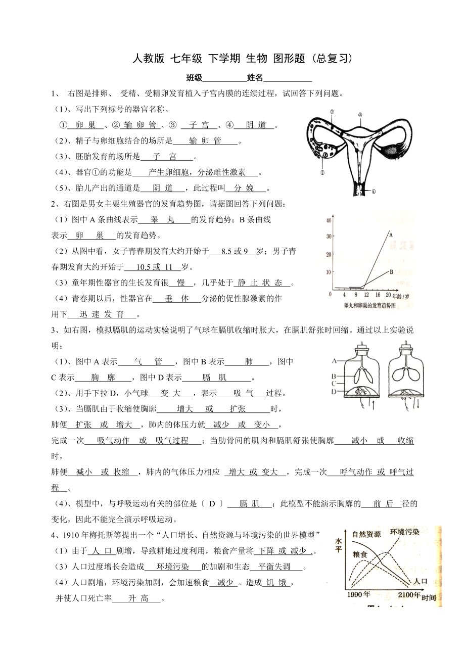 七年级下册生物看图测试题.doc_第1页