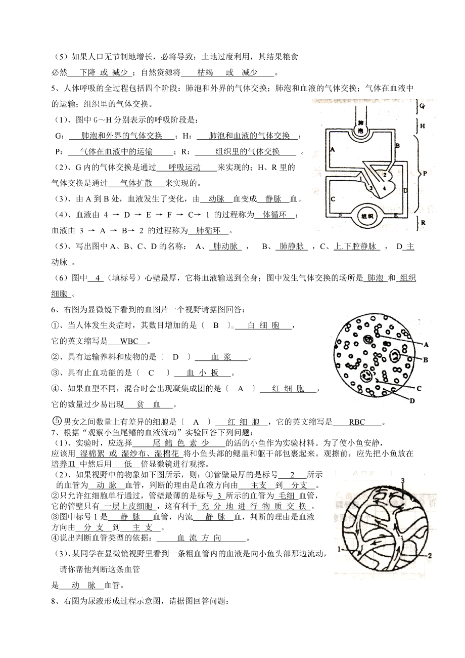 七年级下册生物看图测试题.doc_第2页