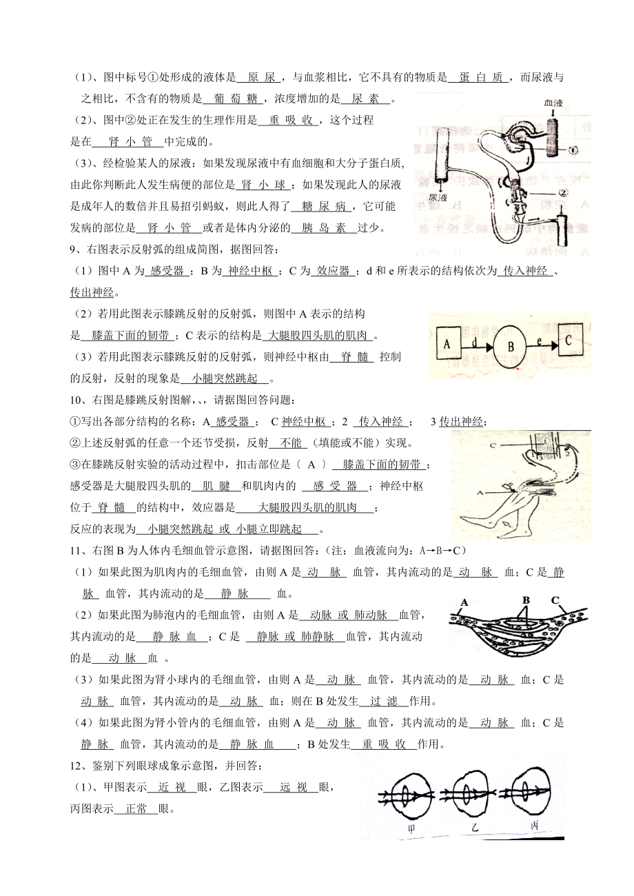 七年级下册生物看图测试题.doc_第3页