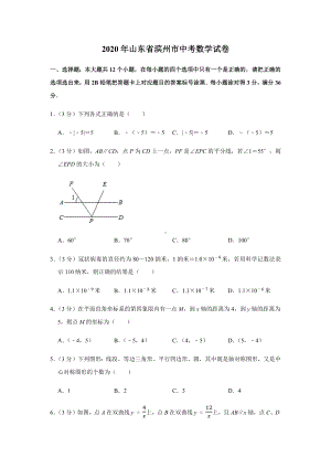 2020年山东省滨州市中考数学试卷及答案.docx