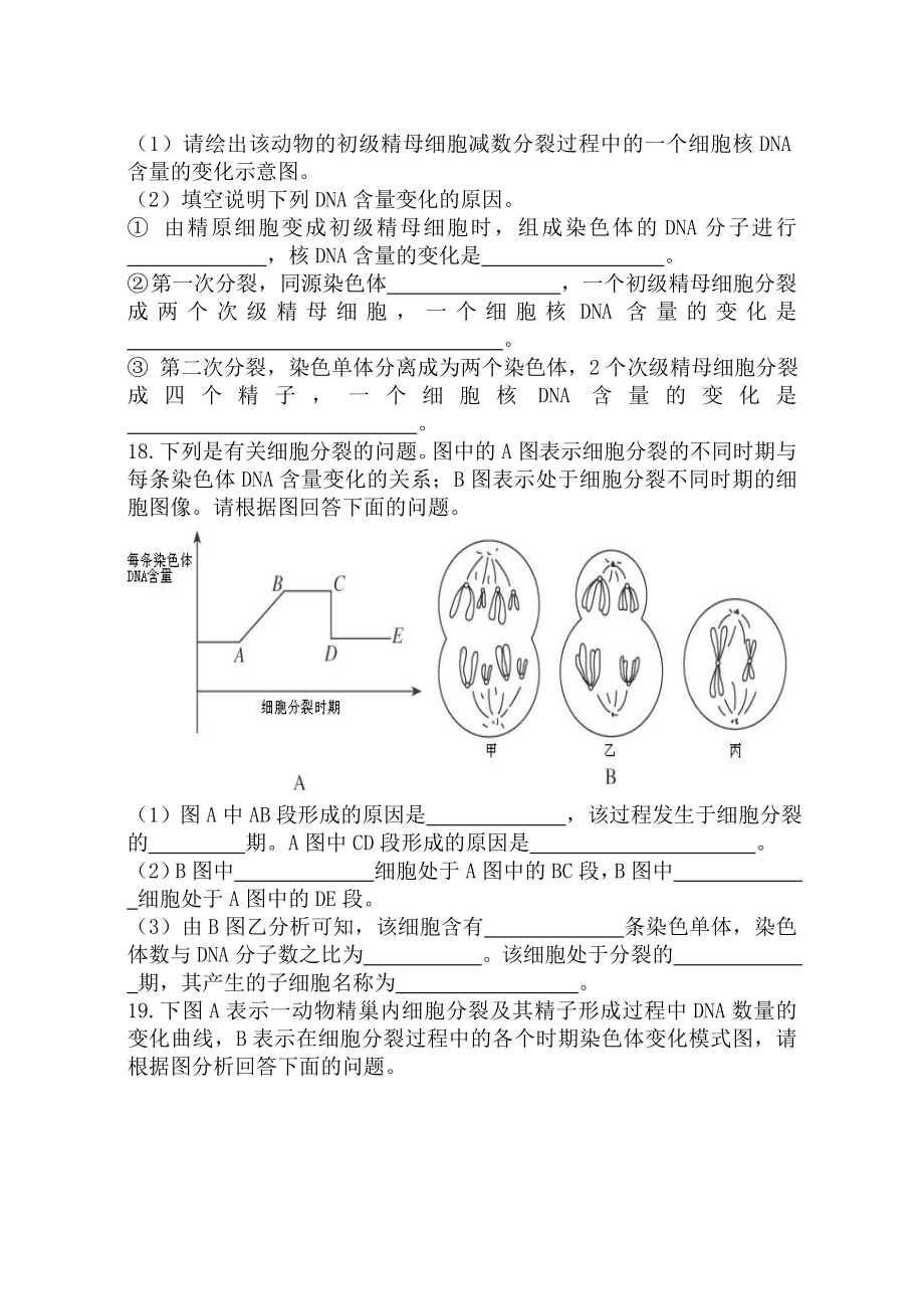 人教版高中生物必修二减数分裂和受精作用练习题.doc_第3页