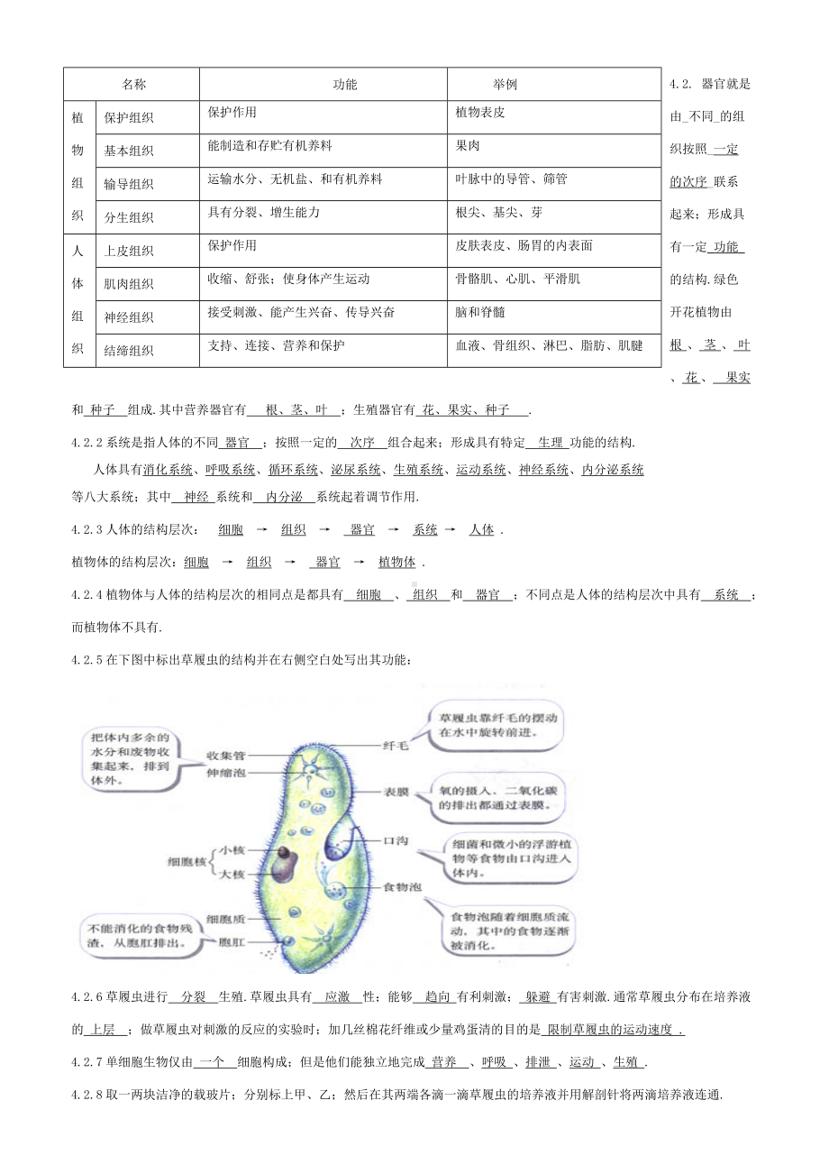 七年级生物(苏教版)知识点总结答案(全).doc_第3页