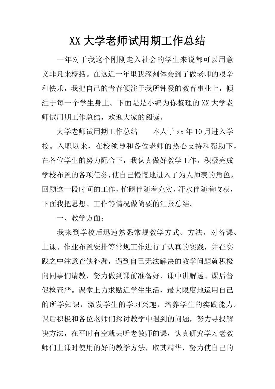 XX大学老师试用期工作总结.docx_第1页