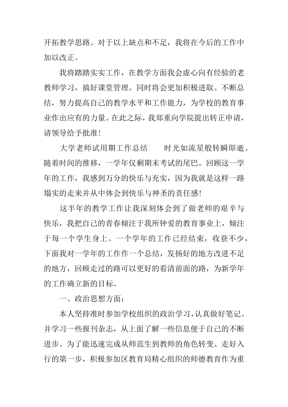 XX大学老师试用期工作总结.docx_第3页