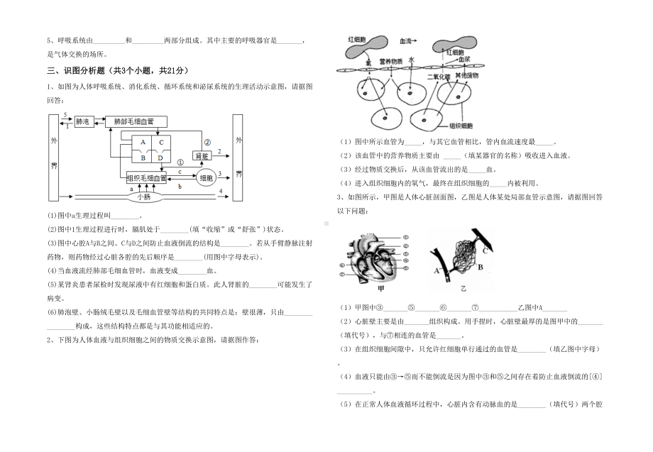 七年级生物下册期末考试(汇总).doc_第3页