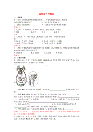 中考生物试题汇编：血液循环和输血(含答案).doc