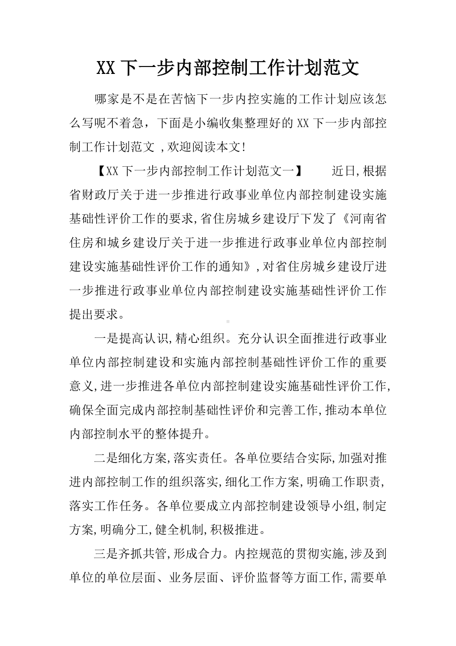 XX下一步内部控制工作计划范文.docx_第1页