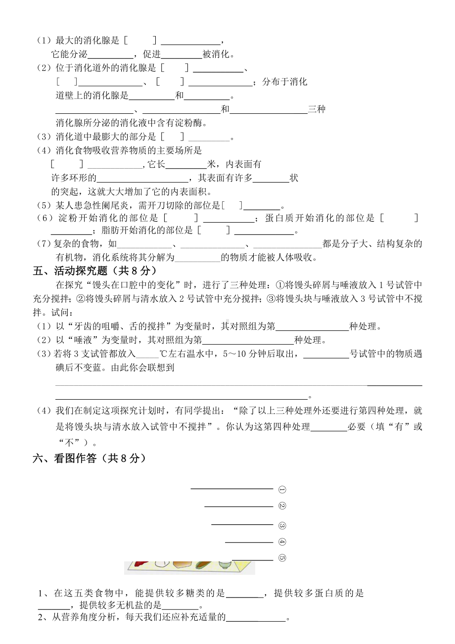 七年级生物下册第二章测试题.doc_第3页