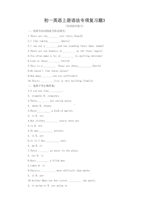 (新译林版)初一英语上册语法专项复习题3(无答案).docx